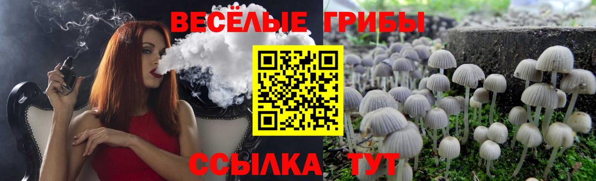 Псилоцибиновые грибы MAGIC MUSHROOMS  Вход с VPN  Копейск 